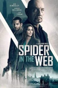 Spider in the Web (2019) ROSHIYA.co.in