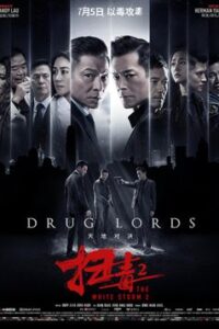 The White Storm 2 Drug Lords (2019) Dual Audio Hindi Dubbed Chinese BluRay 1080p 720p 480p HD